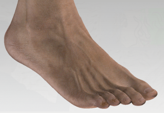 산업용 카메라가 있는 3D 스캐너